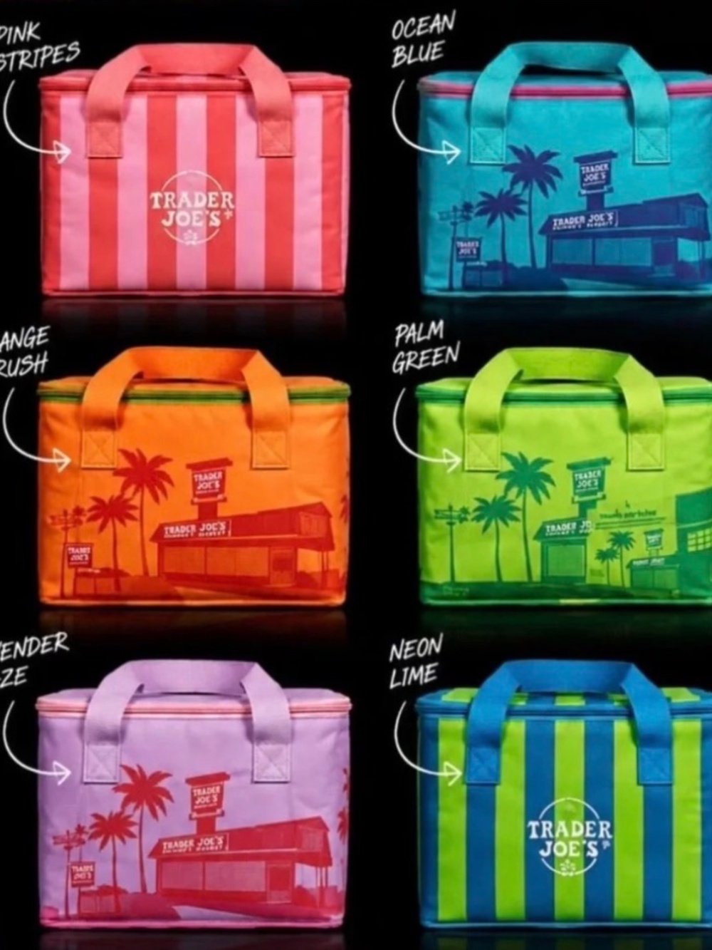 Trader Joe's Insulated Cooler Tote  (each)